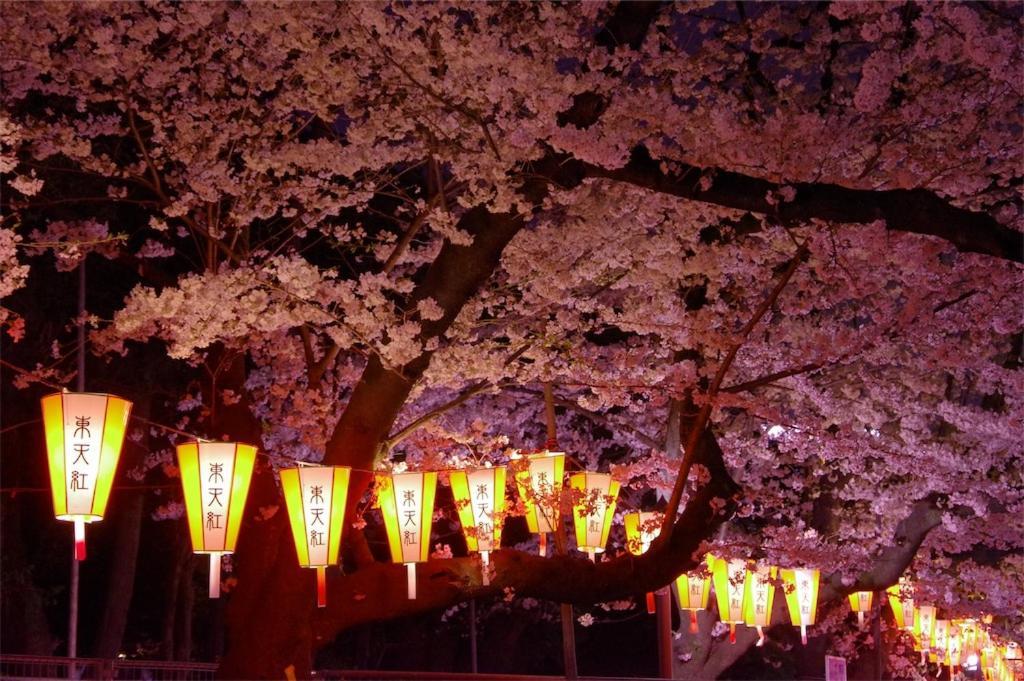 Hotel Owl Tokyo Nippori Dış mekan fotoğraf